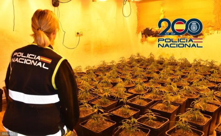 Granada.- Sucesos.- Hallan 840 plantas de marihuana en Baza a raíz de una disputa por una factura desorbitada de agua
