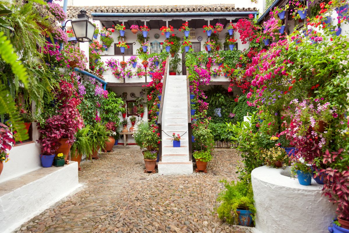 Los Patios de Córdoba más Inéditos y Originales: Rutas y Detalles