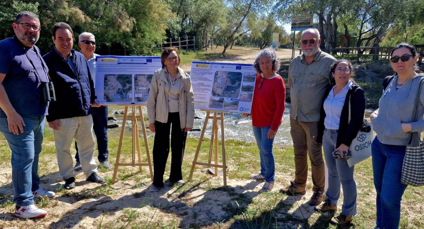 Restauración del Arroyo El Partido en Doñana alcanza el 73% de ejecución