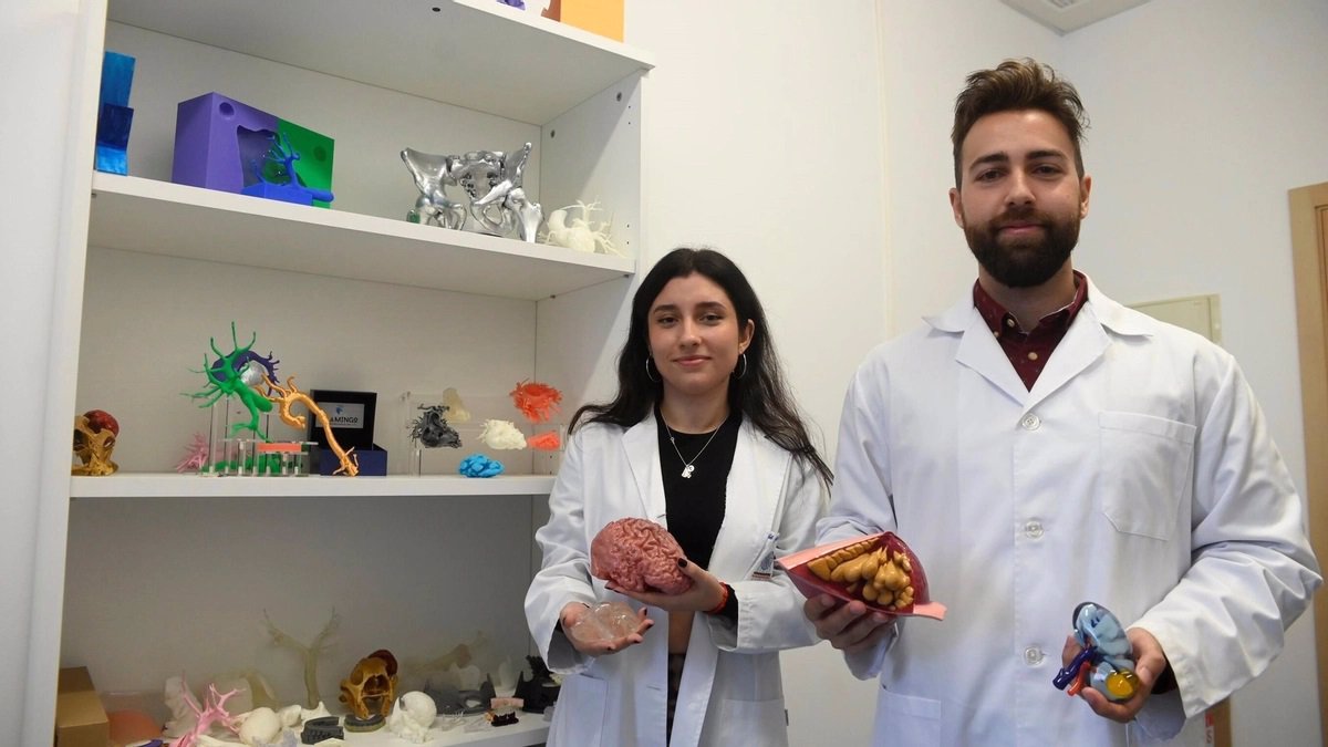 Una startup andaluza desarrolla órganos en 3D de alta precisión para cirugías más seguras y eficientes