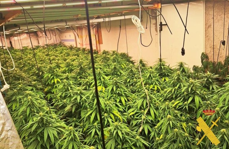 marihuana-calle-jarea-Berja-1024x668