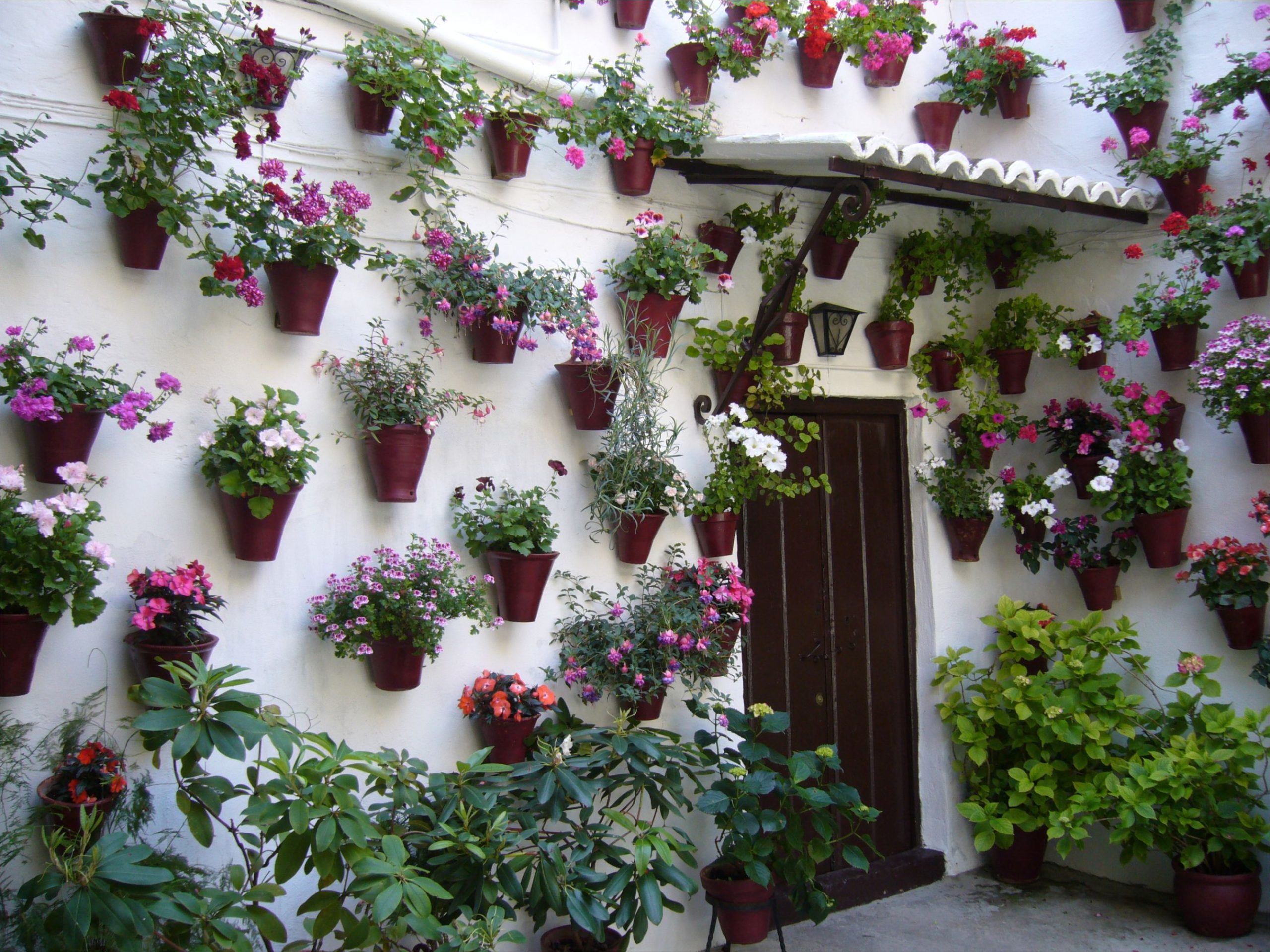 63 patios de Córdoba abren sus puertas desde este lunes 5 de mayo, 52 de ellos en concurso