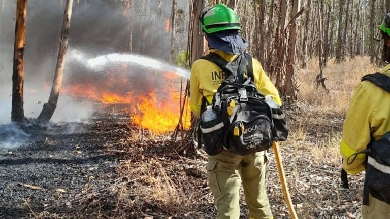 7376_fotonoticia_20220727215203_1920 (1)