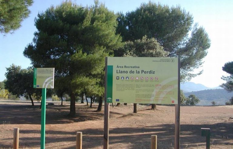 Llano-de-la-Perdiz