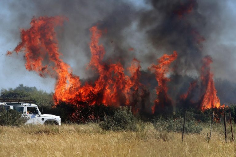 Incendio en Los Mimbrales. Huelva. Infoca. Incendio en Doñana.