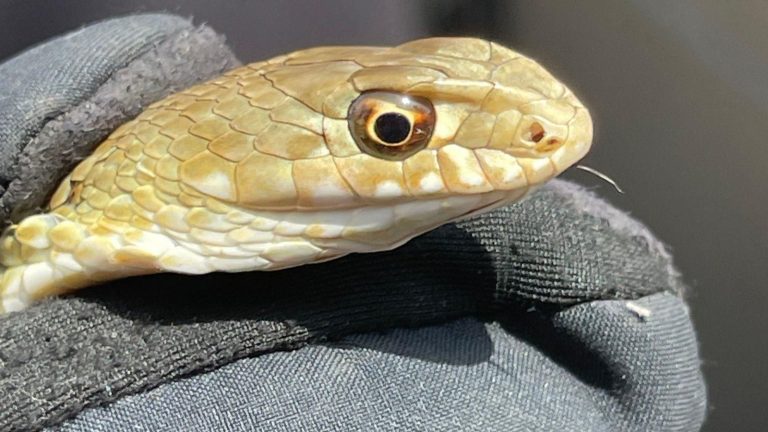 f2328b85-40cb-4056-8513-a97ba69c8dcc_source-aspect-ratio_1600w_0