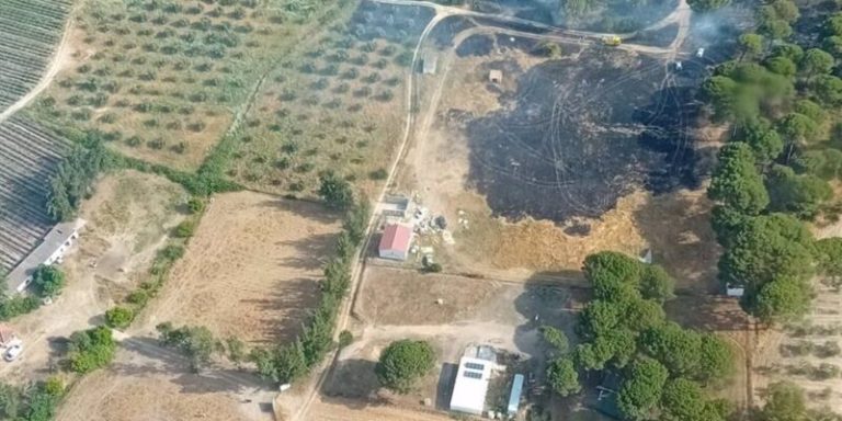Huelva.- Incendios.-Un nuevo incendio afecta a otro asentamiento y eleva a ocho los fuegos en Lucena desde el 29 de mayo