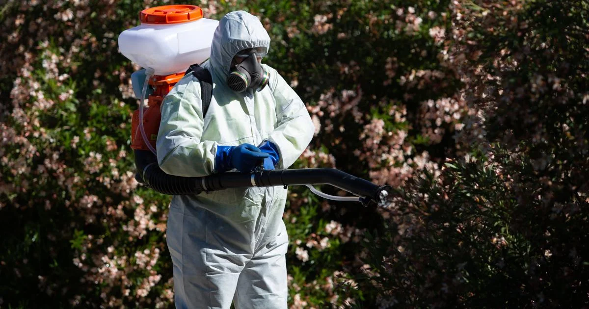 fumigacion-trabajos-cordoba-kO2C--1200x630@diario_abc