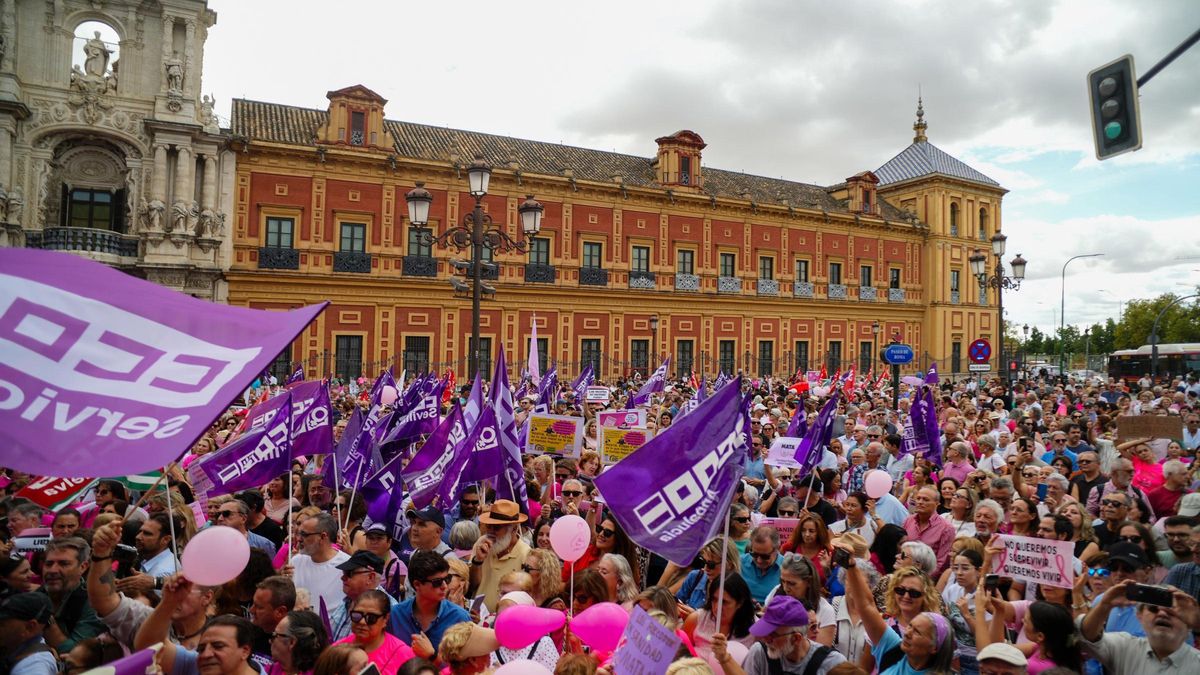Huelga por el fallo en los cribados de cáncer de mama. Multitud de personas frente al Palacio de San Telmo 