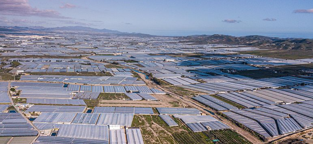 Captura de pantalla 2025-10-01 115120