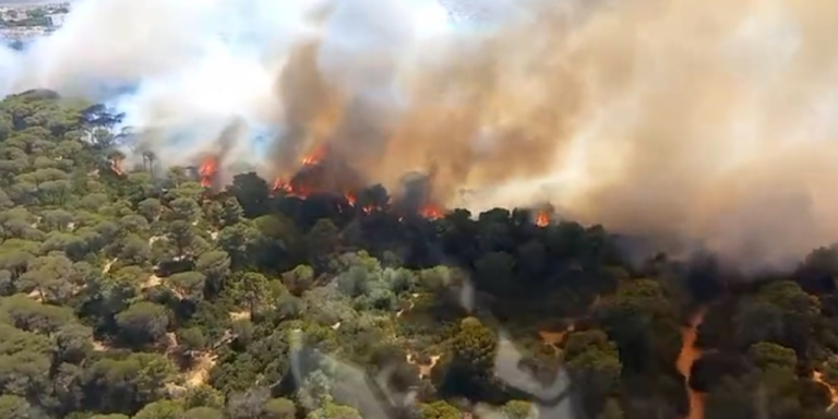 Captura de pantalla 2025-10-07 132208