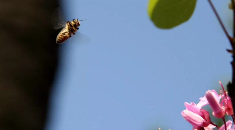 Captura de pantalla 2025-10-10 104308