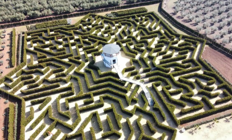 Captura de pantalla 2025-10-10 110404