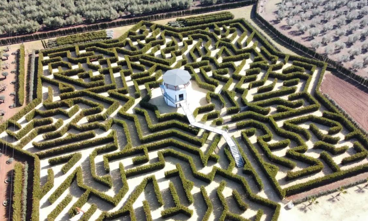 Captura de pantalla 2025-10-10 110404