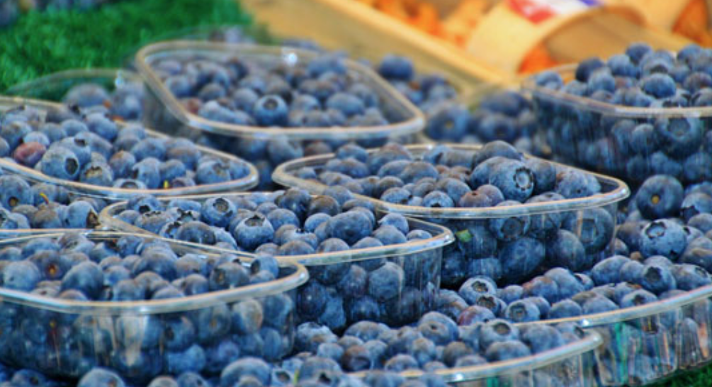 Captura de pantalla 2025-10-15 095526