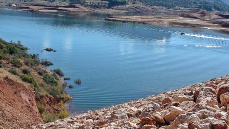 Diseño sin título (10)