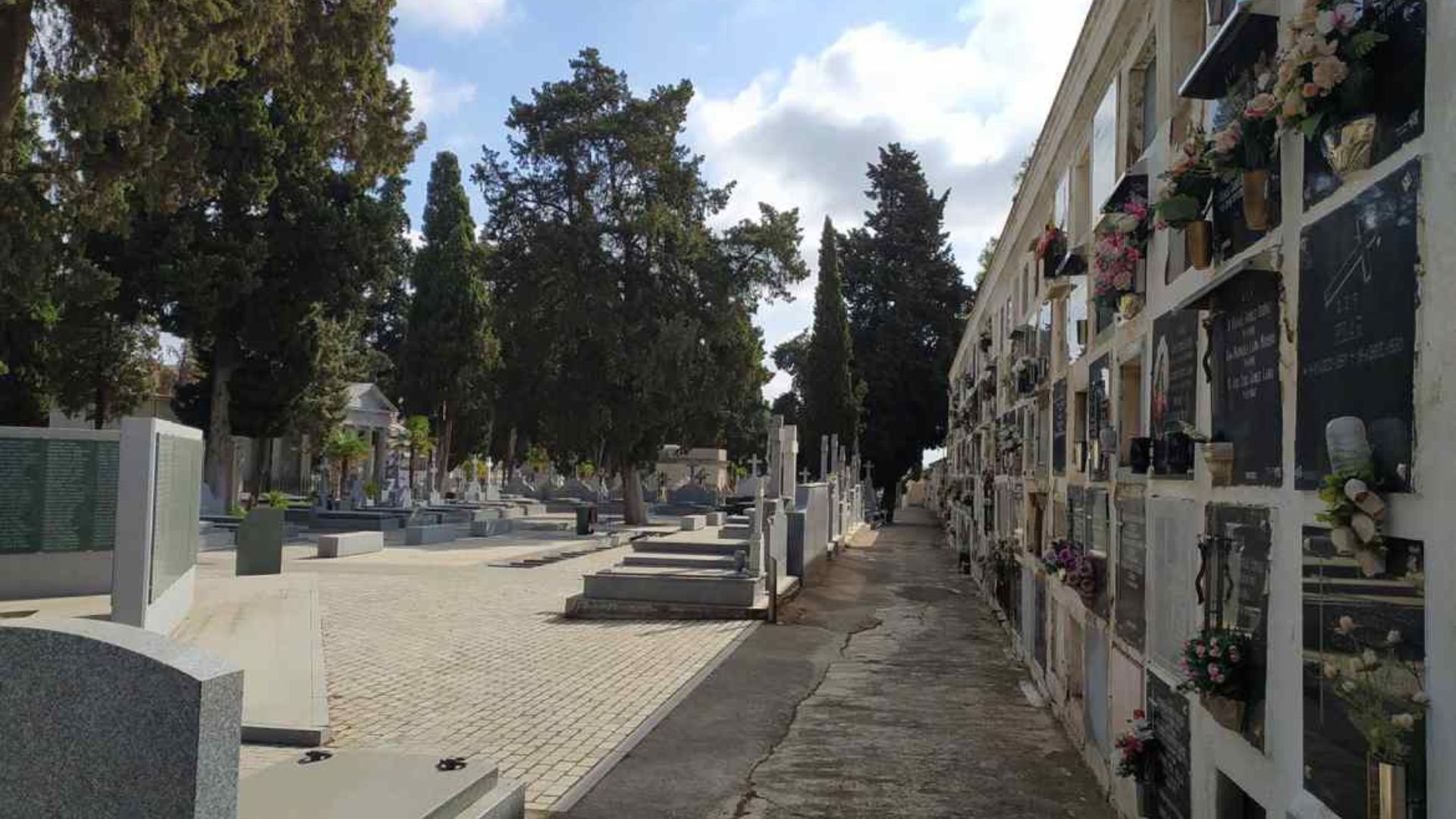 Diseño sin título (22)