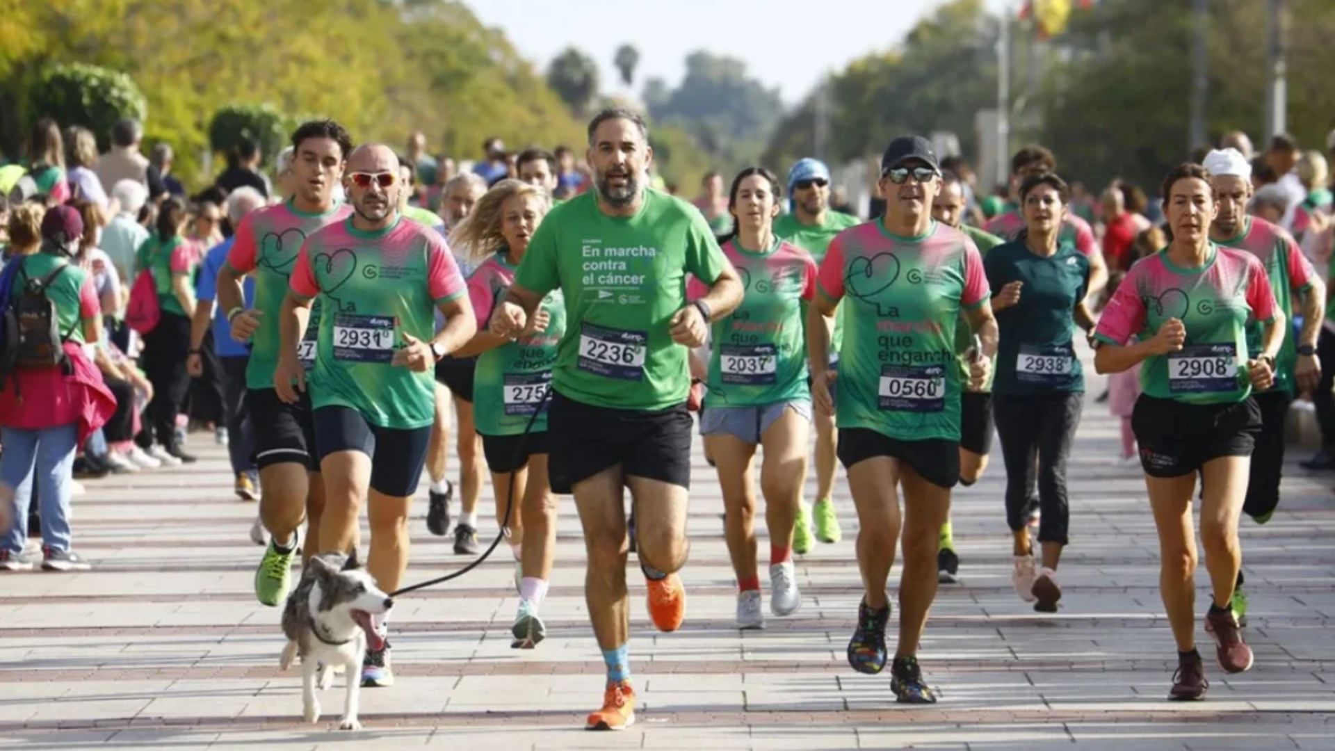 Diseño sin título (39)