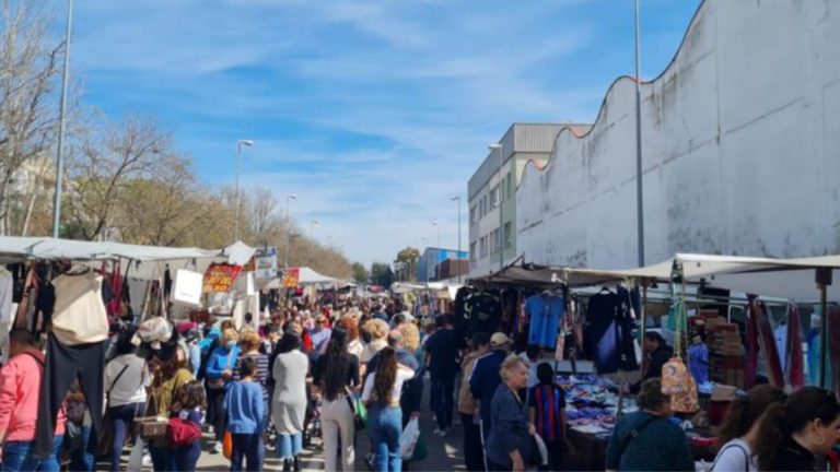 Diseño sin título (50)