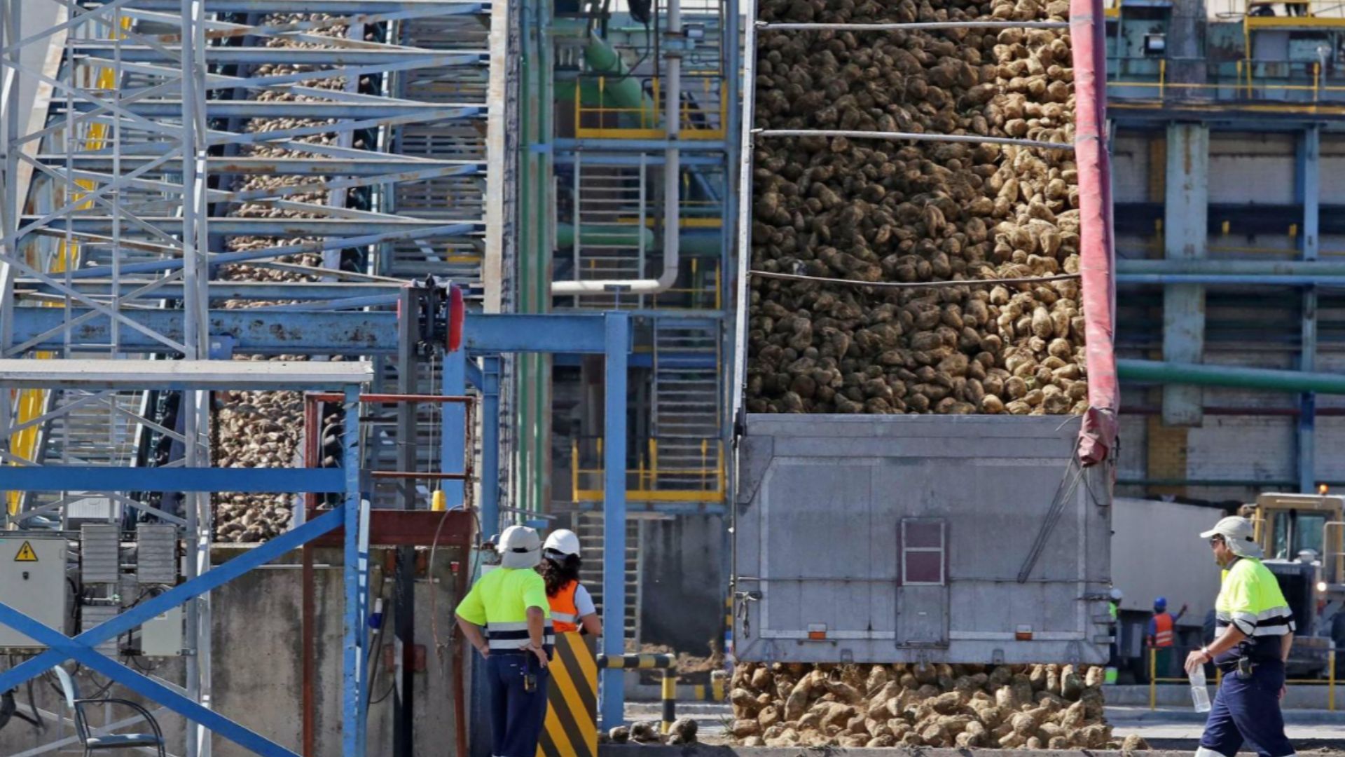 Diseño sin título (53)