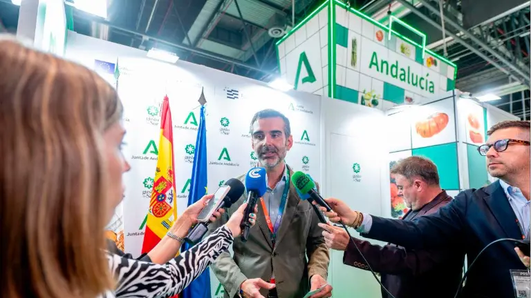 tywtyhwe_18024430_20251001203451