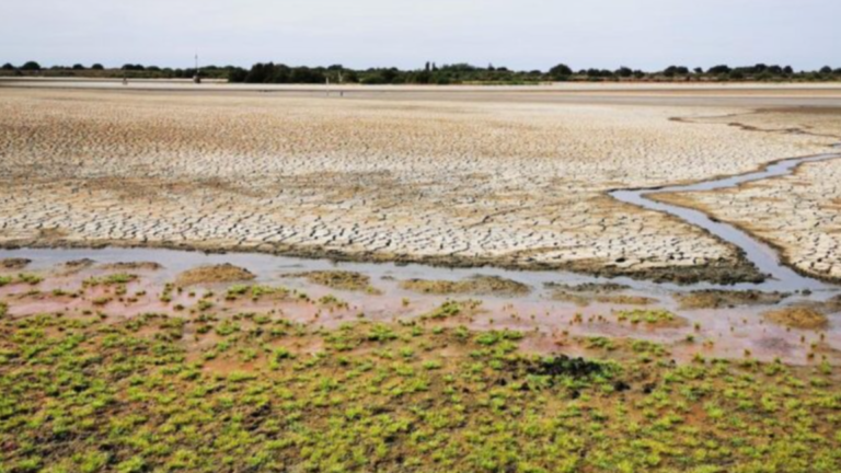 Diseño sin título - 2025-11-25T095643.311