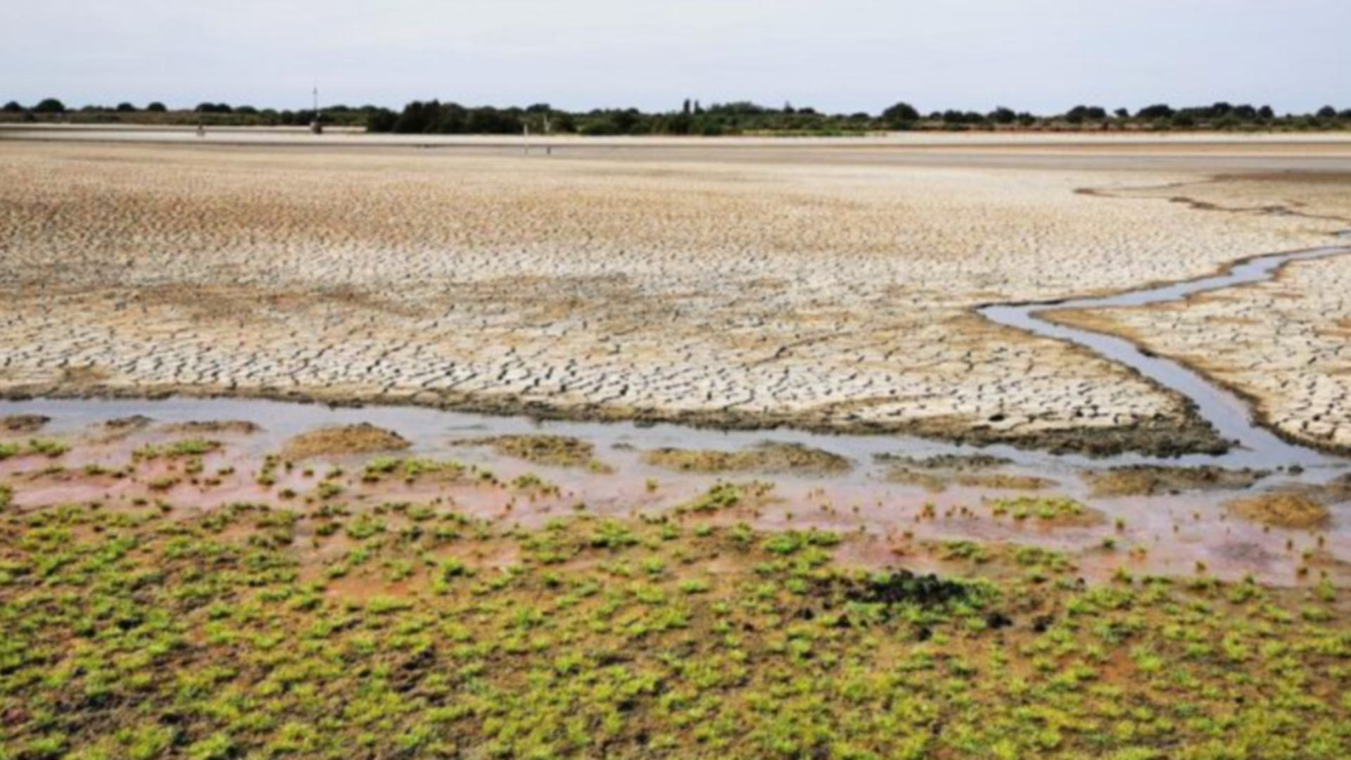 Diseño sin título - 2025-11-25T095643.311