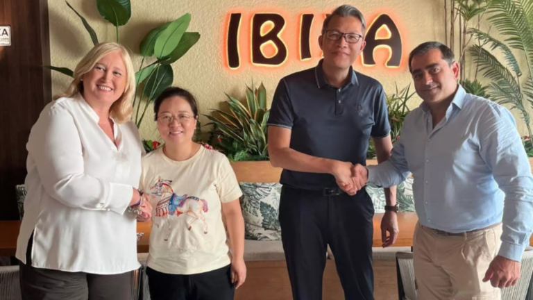 Diseño sin título - 2025-11-25T112220.480