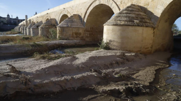 Diseño sin título - 2025-11-25T120243.138