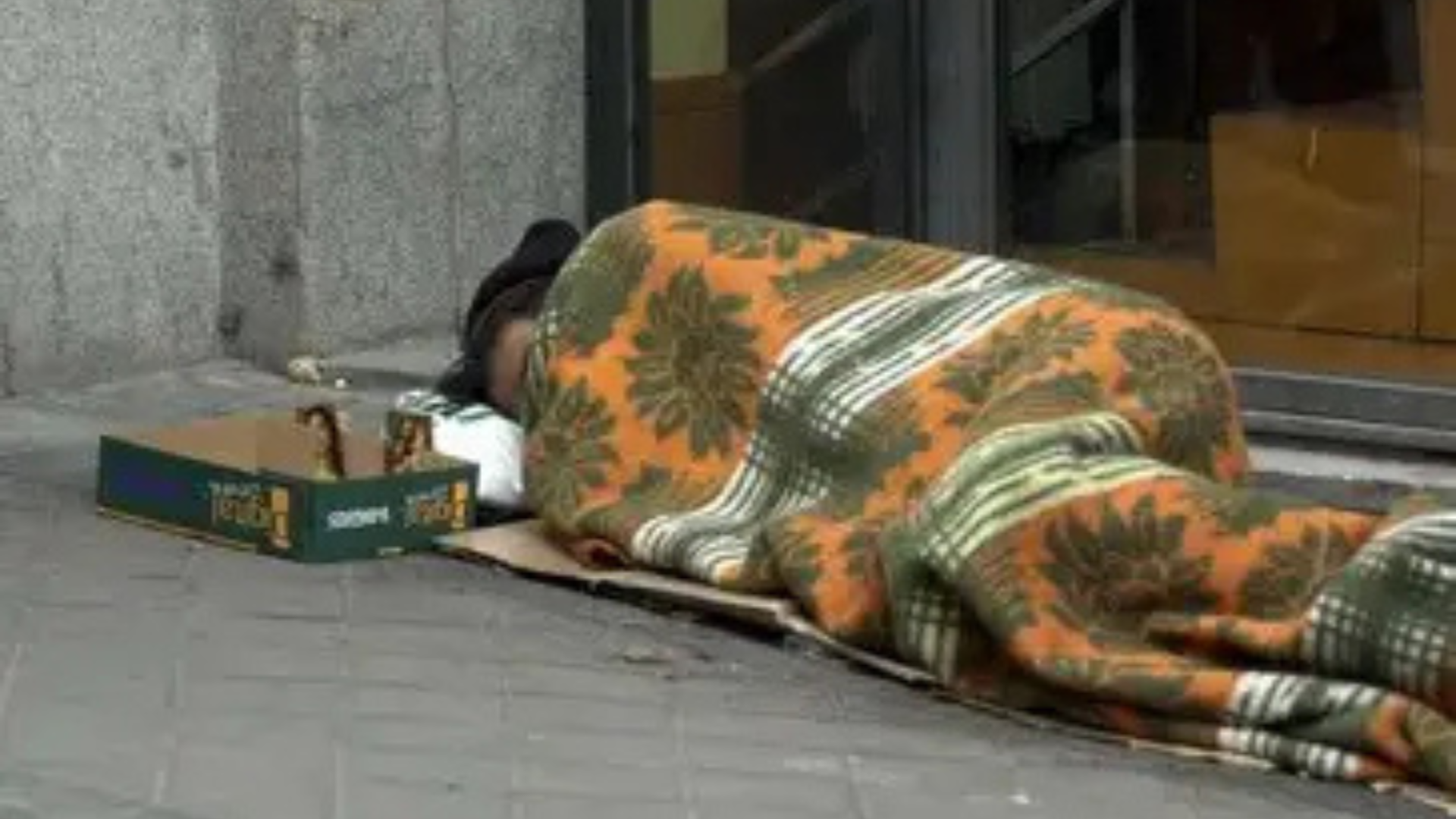 Diseño sin título (49)