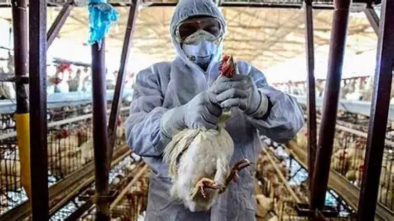 Diseño sin título (79)