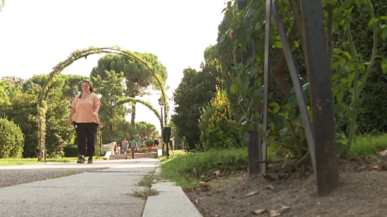 Diseño sin título - 2025-12-01T115405.556