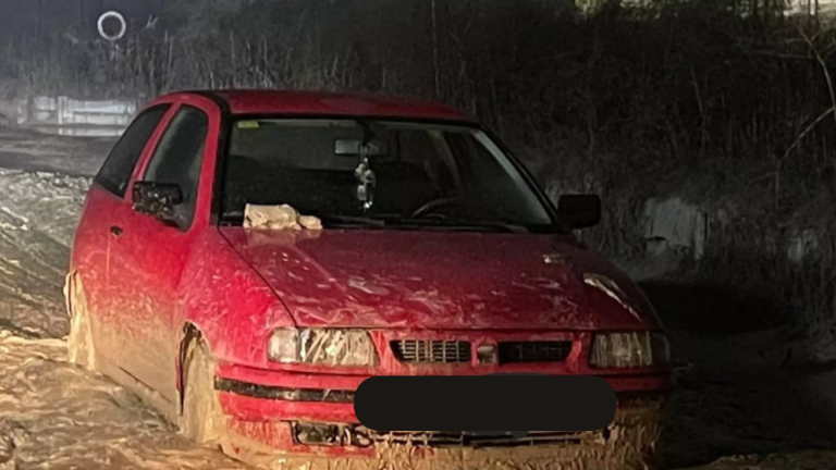 Diseño sin título - 2025-12-03T123047.577