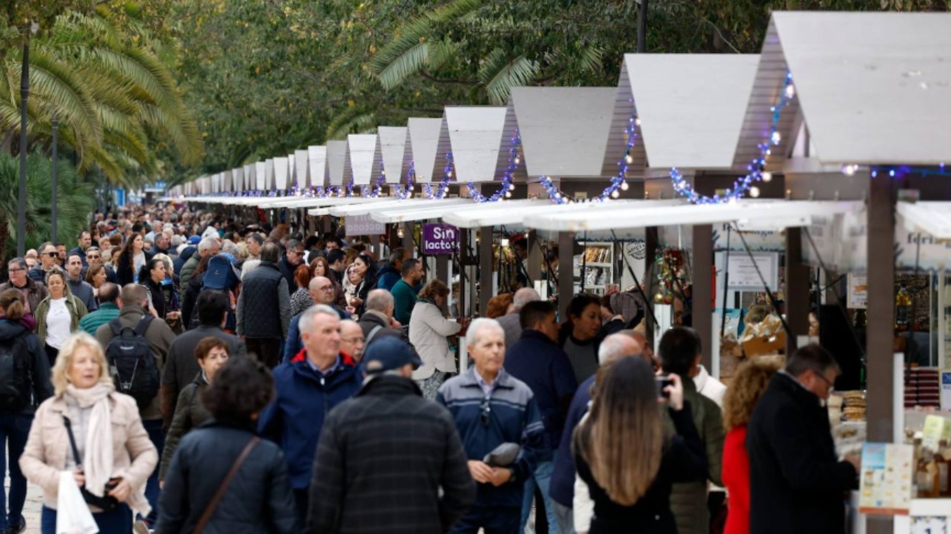 Diseño sin título - 2025-12-03T132118.027_compressed