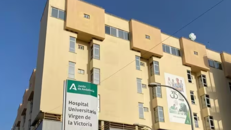 Diseño sin título - 2025-12-04T101127.039