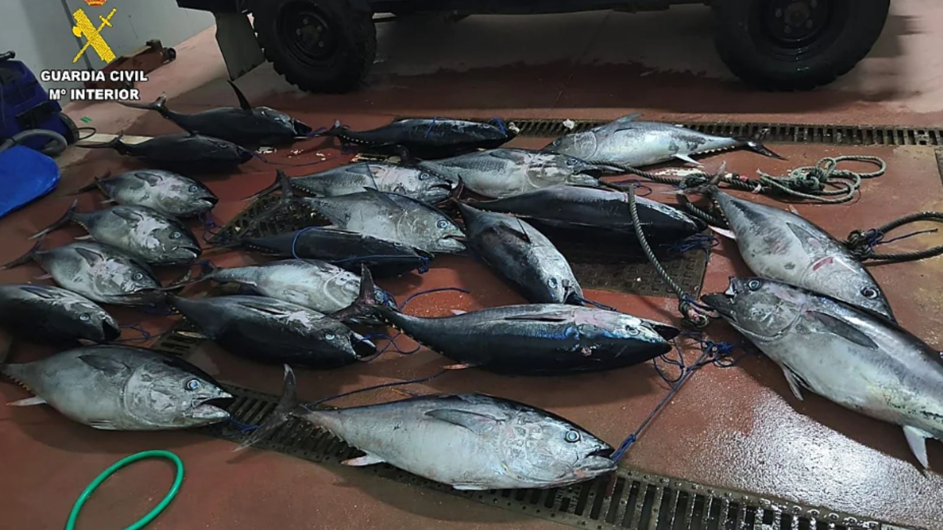 Diseño sin título - 2025-12-05T124521.254_compressed