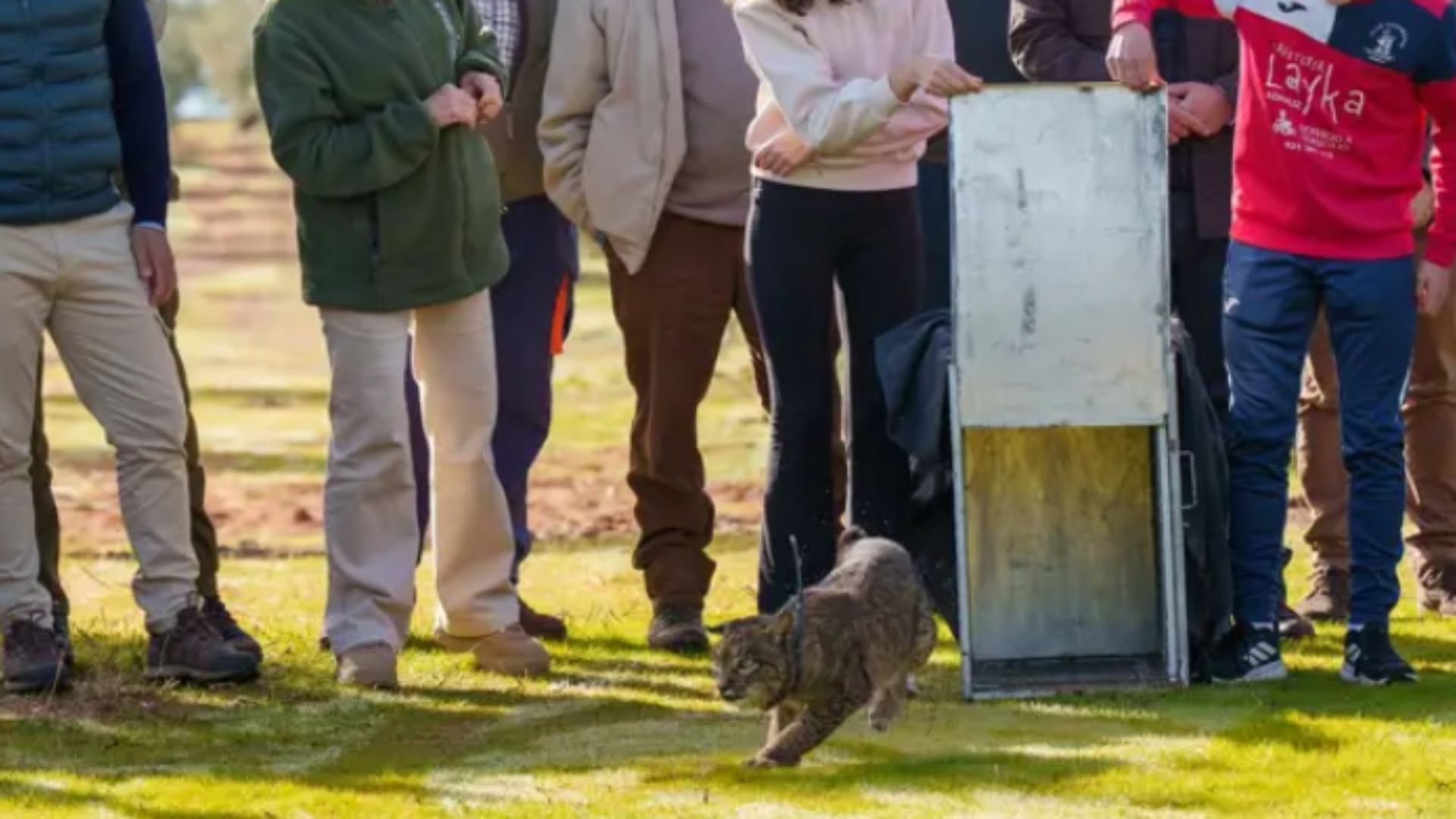 Diseño sin título - 2025-12-10T130808.749