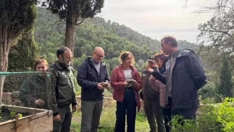 Diseño sin título - 2025-12-15T130035.922