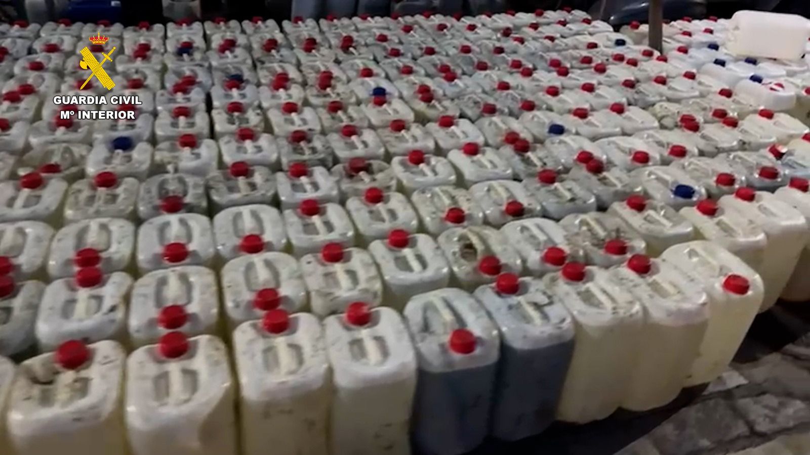 e84aabe7-5df4-4c8d-8b89-bf628e570827_source-aspect-ratio_1600w_0