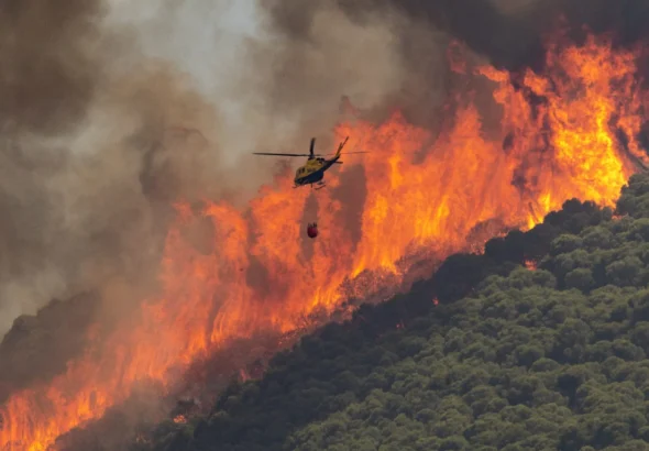 Incendios Forestales