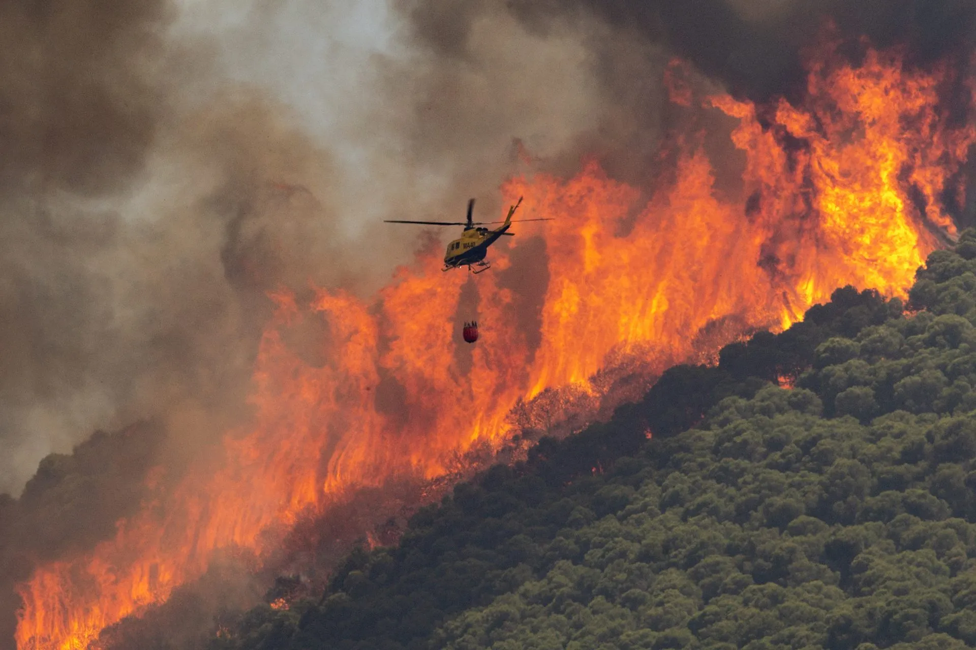 Incendios Forestales